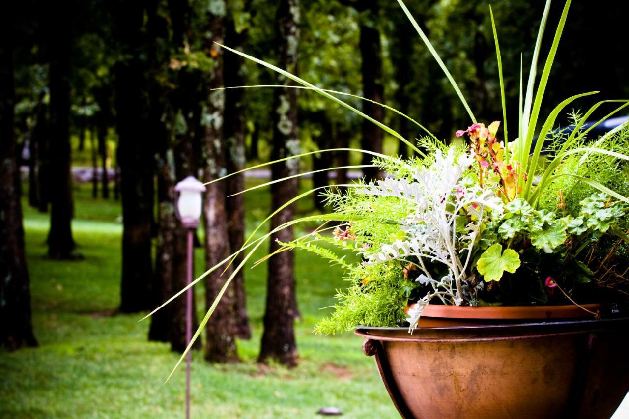 Postoak Lodge And Retreat Tulsa Pokoj fotografie
